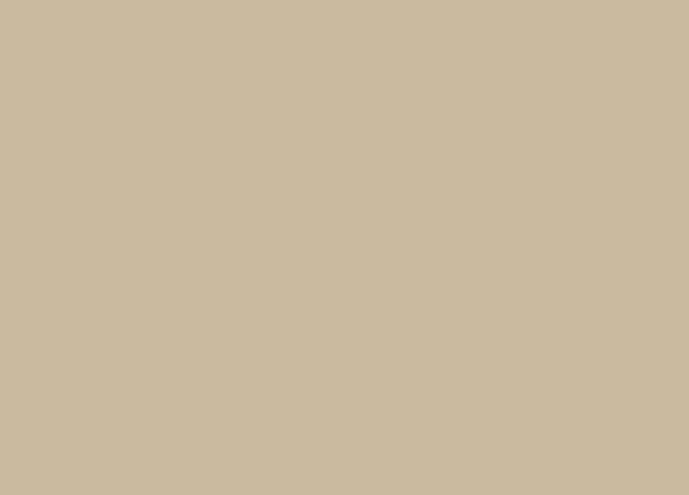 background-03.png